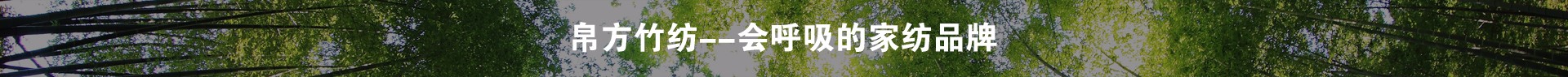 爱游戏真人版